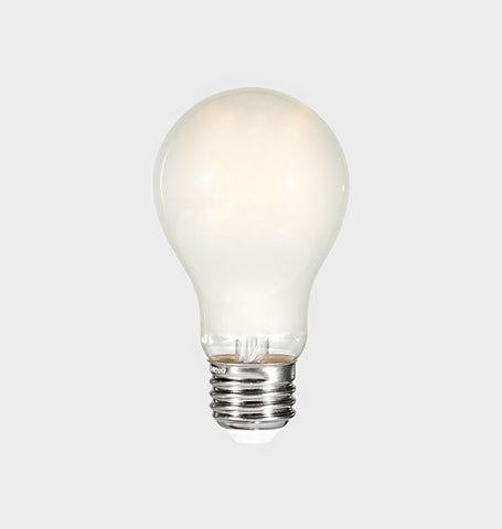 A19 Frosted Bulb