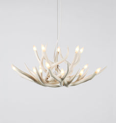 Chandelier - 10 Antlers (White)